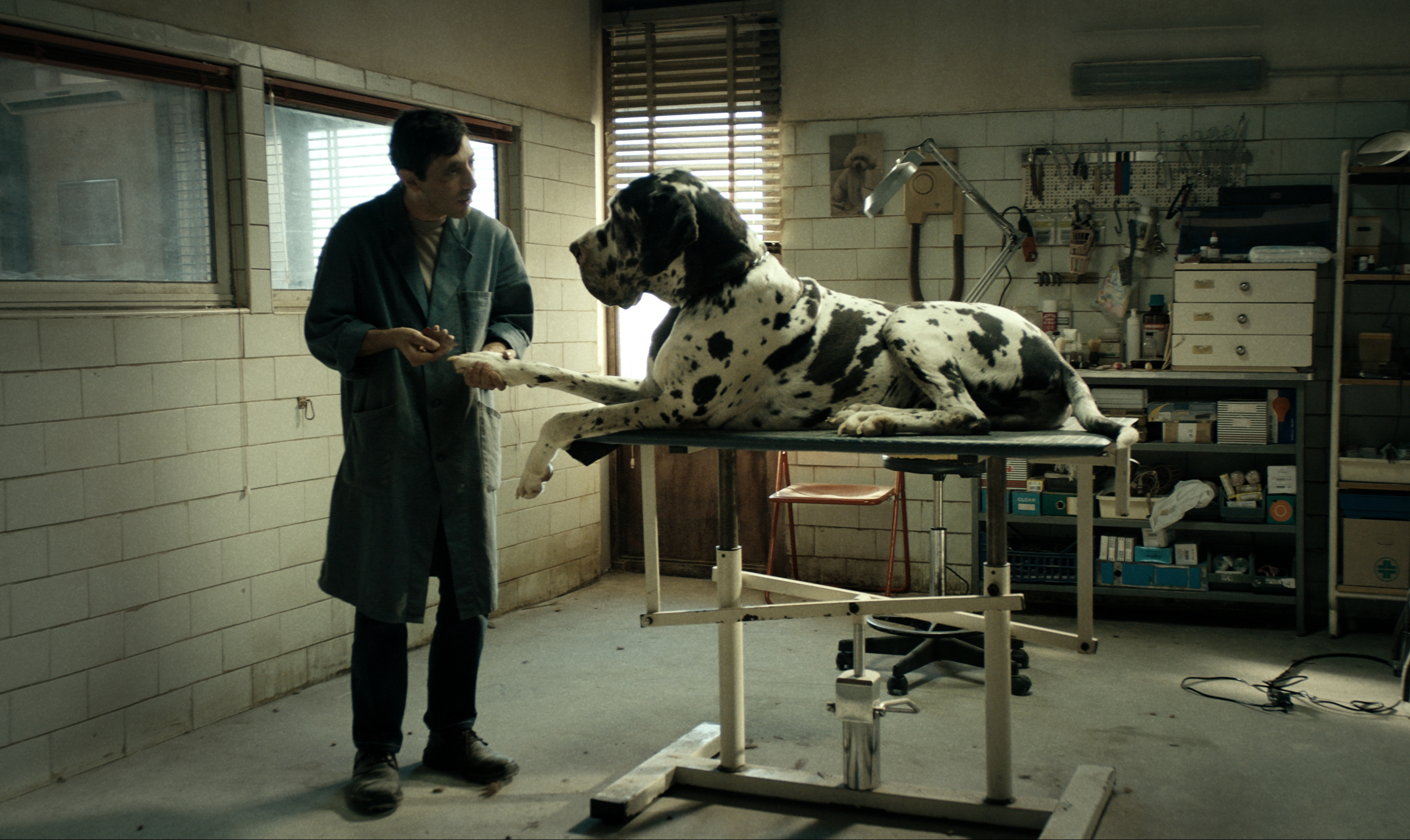 dogman-2