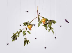 Hong Lei, Memory of Pomegranate